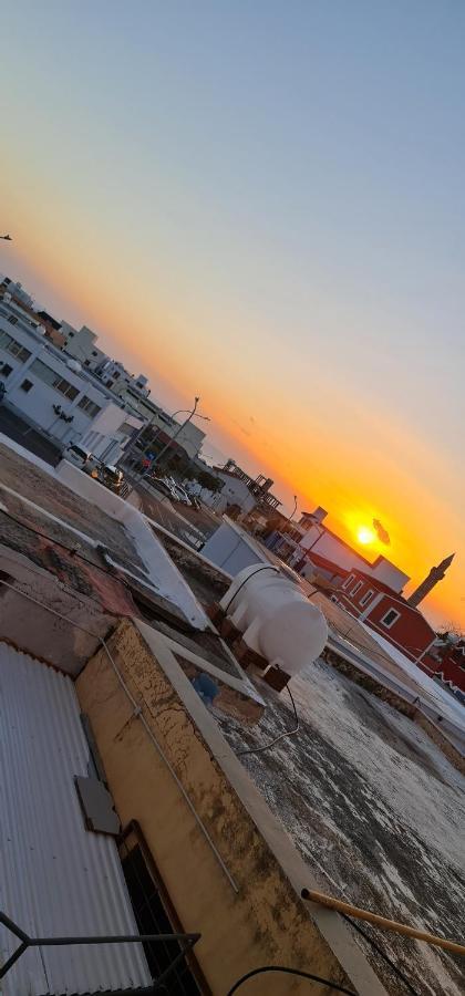 Bee Hostel بافوس المظهر الخارجي الصورة